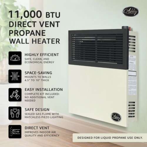 Direct vent propane heater discount