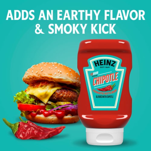 Heinz Medium Chipotle Spicy Tomato Ketchup Perspective: top