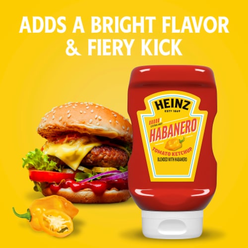 Heinz Extra Hot Habanero Spicy Tomato Ketchup Perspective: top