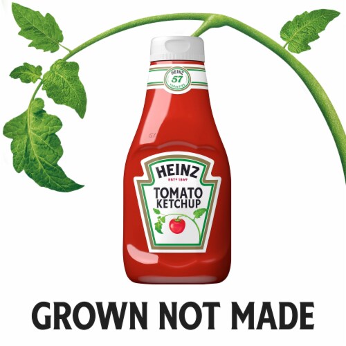 Heinz Tomato Ketchup Perspective: top