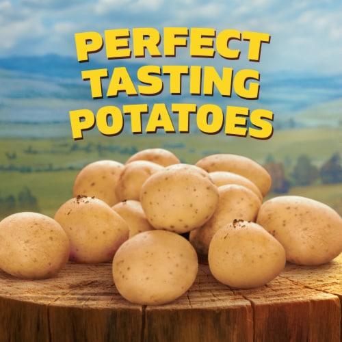 Ore-Ida Crispy Tater Tots Seasoned Shredded Frozen Potatoes Perspective: top