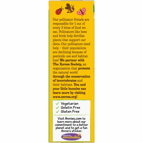 Annie’s Organic Bees Bugs & Butterflies Fruit Kid Snack Perspective: top
