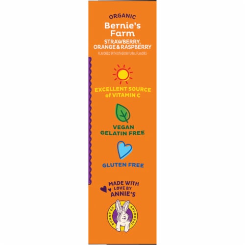 Annie's Organic Bernie's Farm Fruit Flavored Snacks Perspective: top