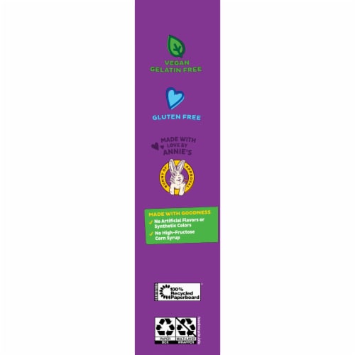 Annie's Organic Fruit Twists Sweet and Sour Fruit Flavored Snacks Perspective: top