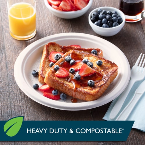 Hefty EcoSave™ 100% Compostable 8.75-Inch Paper Plates Perspective: top