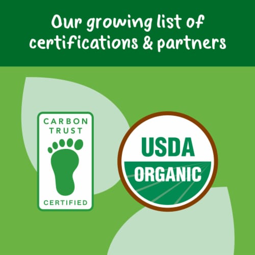 Gerber Toddler Food Organic Lil Crunchies Plant-tastic Berry Blend Toddler Snacks Perspective: top