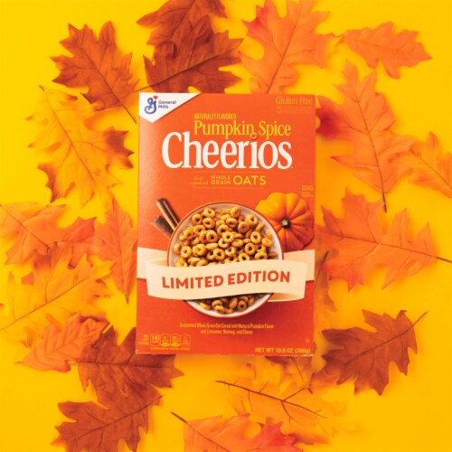 General Mills Pumpkin Spice Cheerios Cereal Perspective: top