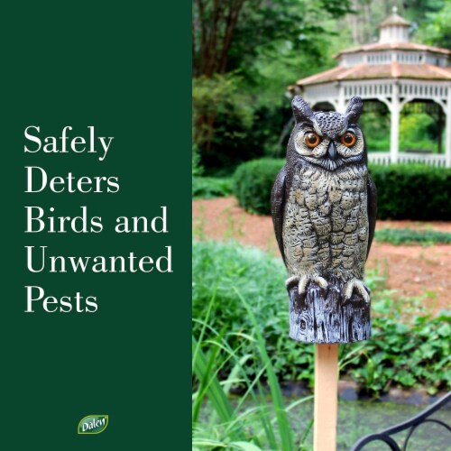 Dalen Products Incorporated Molded Owl Perspective: top