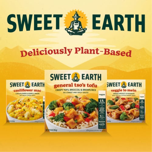 Sweet Earth Veggie Lo Mein Vegan Frozen Meal Perspective: top