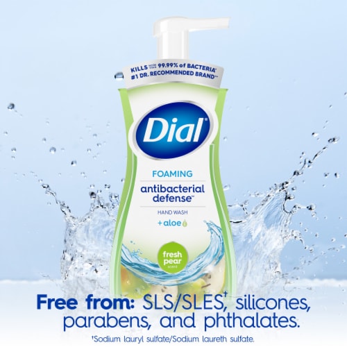 Dial® Antibacterial Defense™ Fresh Pear Foaming Hand Wash Perspective: top