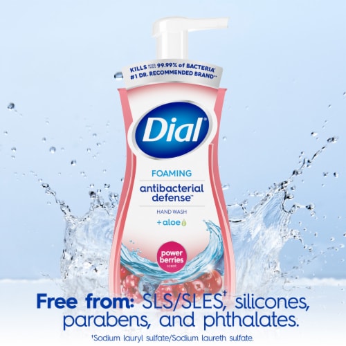 Dial Complete® Power Berries Foaming Antibacterial Hand Wash Perspective: top