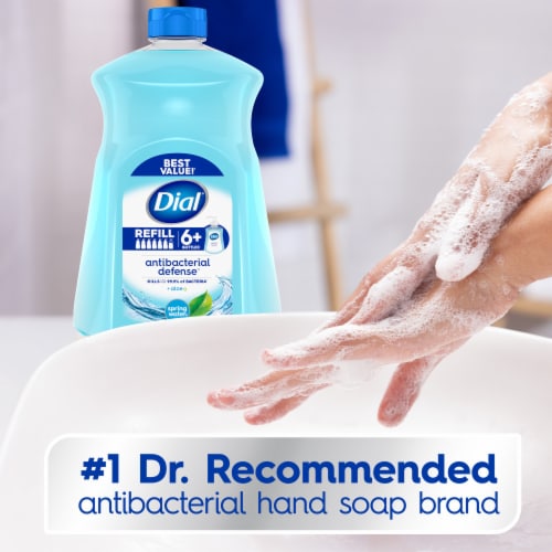 Dial Spring Water Antibacterial Liquid Hand Soap With Moisturizer Refill Perspective: top