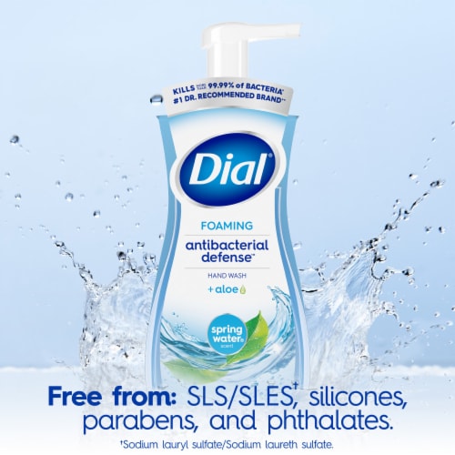 Dial® Antibacterial Defense™ Foaming Hand Wash Spring Water Scent Perspective: top