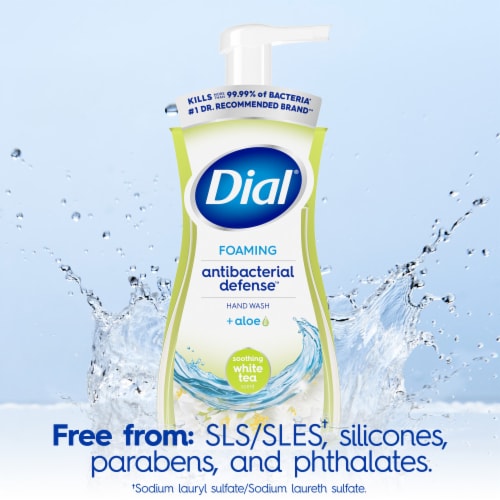 Dial® Antibacterial Defense™ Foaming Hand Wash Soothing White Tea Scent Perspective: top