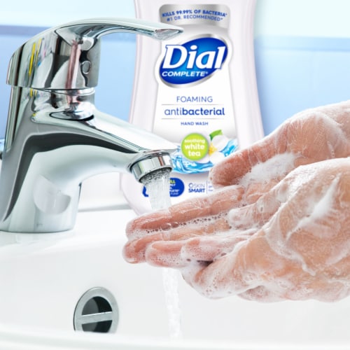 Dial Complete Soothing White Tea Foaming Antibacterial Hand Soap Refill 32 fl oz Fred Meyer