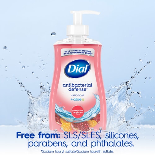 Dial Complete® Pomegranate & Tangerine Liquid Hand Soap Perspective: top