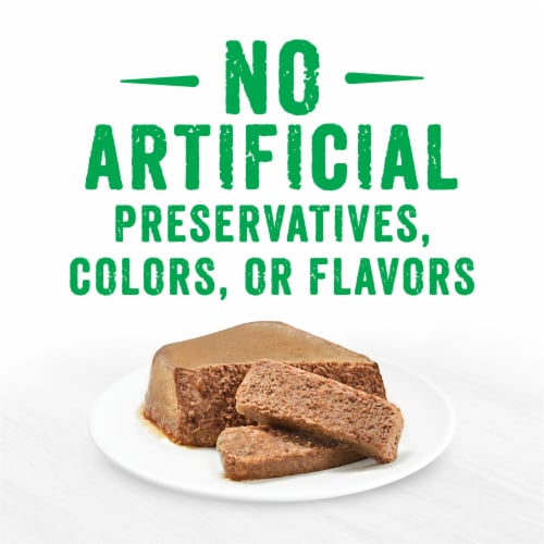Purina Beneful IncrediBites Pate Wet Dog Food for Small Dogs Filet Mignon Flavor in a Savory Gravy Perspective: top