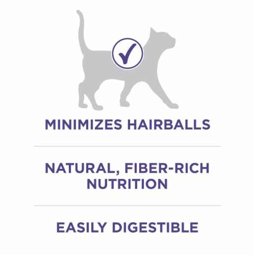 Purina ONE +Plus Adult Natural Hairball Control Dry Cat Food Real Chicken Perspective: top
