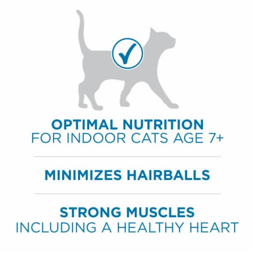 Purina ONE +Plus Senior Indoor Advantage Dry Cat Food Perspective: top