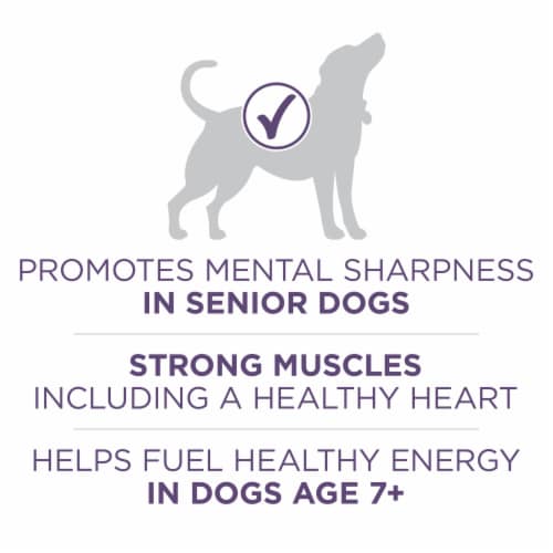 Purina ONE +Plus Vibrant Maturity Adult 7+ Dry Dog Food Chicken & Rice Perspective: top