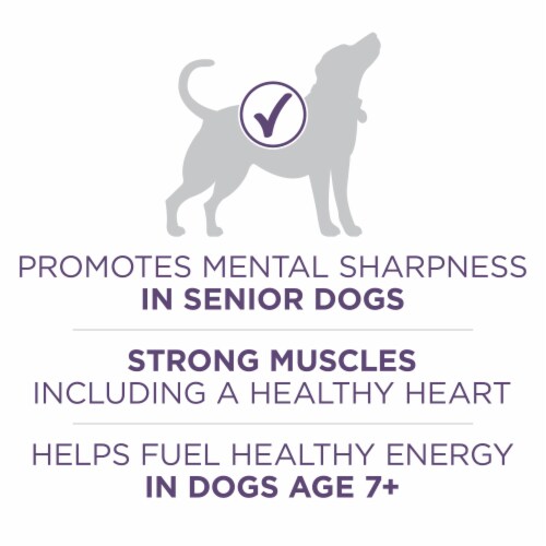 Purina ONE +Plus Vibrant Maturity Adult 7+ Dry Dog Food Chicken & Rice Perspective: top