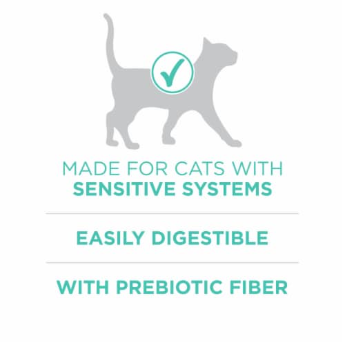 Purina ONE® Sensitive Skin & Stomach Natural Adult Cat Food Perspective: top
