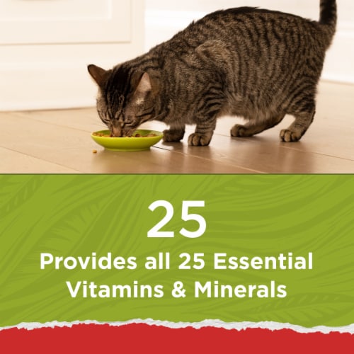 Cat Chow Naturals Original Chicken & Salmon Dry Cat Food Perspective: top