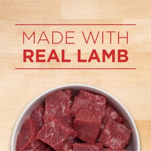 Purina ONE +Plus Healthy Weight Wet Dog Food Tender Cuts in Gravy Lamb & Brown Rice Perspective: top