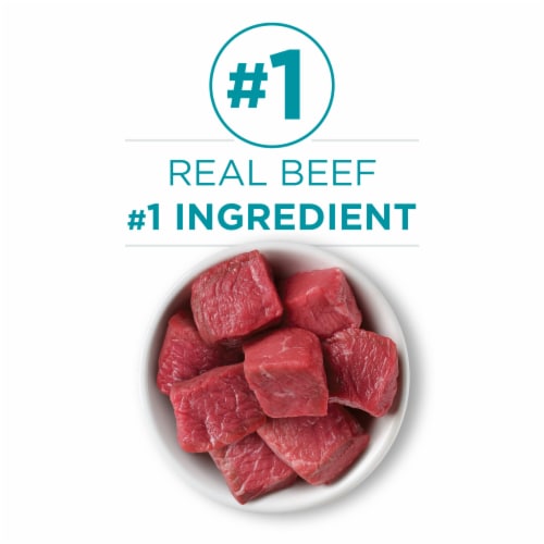 Purina ONE Natural Grain-Free Wet Cat Food Pate Real Beef Recipe Perspective: top
