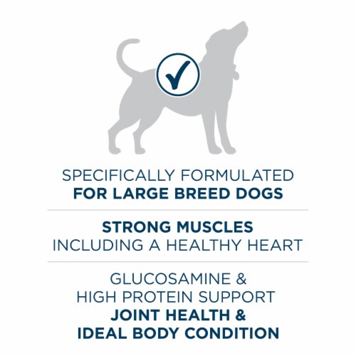 Purina ONE® SmartBlend® Joint Health Large Breed Adult Formula Natural Dry Dog Food Perspective: top