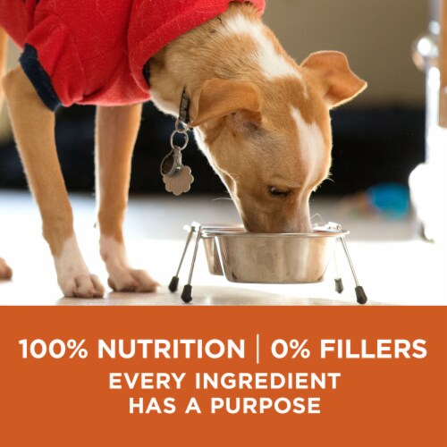 Purina ONE® +Plus Large Breed Puppy Formula Natural Dry Dog Food Perspective: top