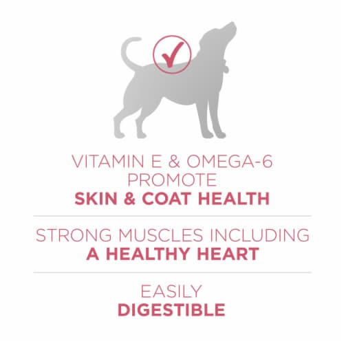 Purina ONE SmartBlend Sensitive Systems Formula Natural Dry Adult Dog Food Perspective: top