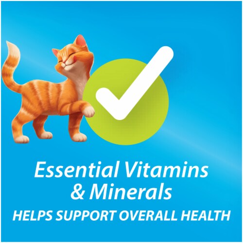 Kit and kaboodle cat food coupons shop