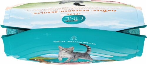 Purina ONE Healthy Metabolism Natural Adult Dry Cat Food Perspective: top