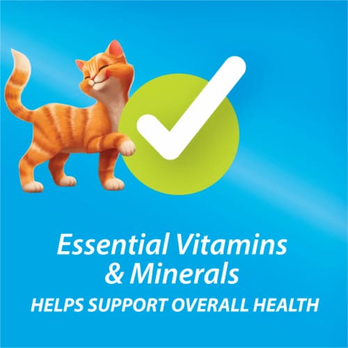 Purina Kit & Kaboodle Adult Dry Cat Food Poultry Liver and Ocean Fish Flavors Perspective: top