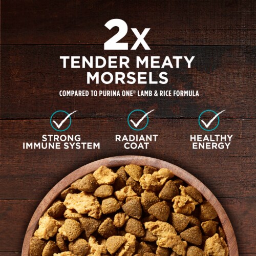 Purina ONE® True Instinct Salmon & Tuna Natural Adult Dry Dog Food Perspective: top