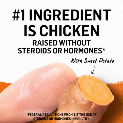 Purina Beyond Grain Free Wet Cat Food Pate Chicken & Sweet Potato Perspective: top