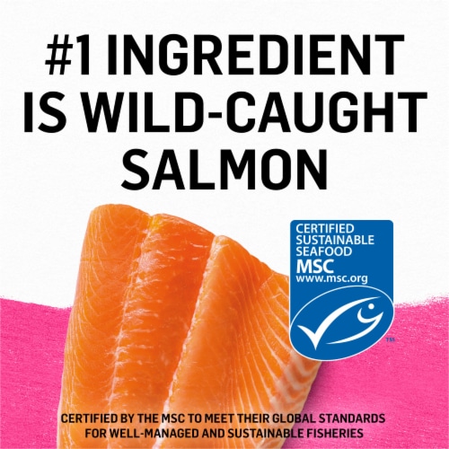 Beyond® Grain-Free Wild Salmon Recipe Pate Wet Cat Food Perspective: top