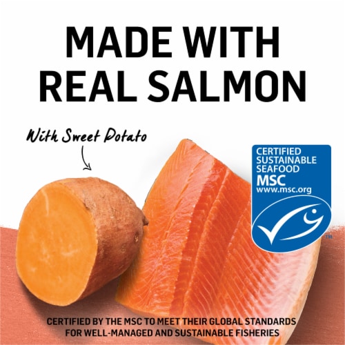 Purina Beyond Wet Cat Food Wild Alaskan Salmon & Sweet Potato in Gravy Perspective: top