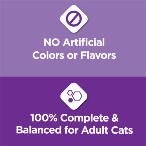 Purina Cat Chow Gentle Sensitive Skin Stomach Adult Dry Cat Food Real Turkey 3.15 lb Metro Market
