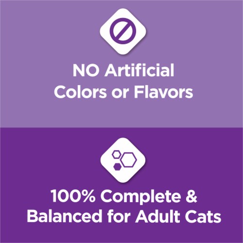 Purina Cat Chow Gentle Sensitive Skin + Stomach Adult Dry Cat Food Real Turkey Perspective: top