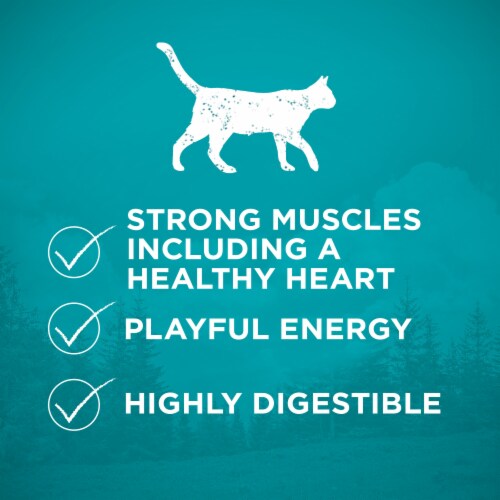 Purina ONE True Instinct High Protein Grain Free Adult Dry Cat Food Real Chicken Perspective: top