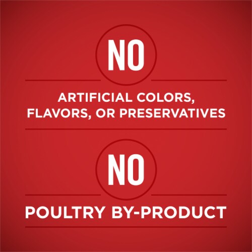 Purina ONE SmartBlend Tender Cuts in Gravy Wet Dog Food Variety Pack Perspective: top