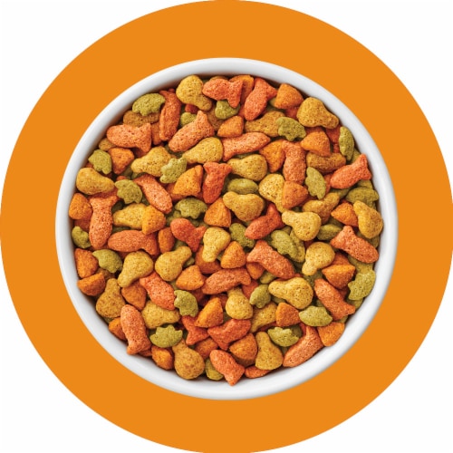 Purina Cat Chow Naturals Indoor Dry Cat Food Real Chicken & Turkey Perspective: top