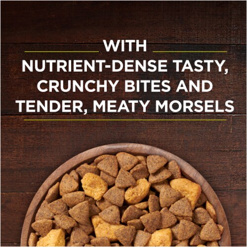 Purina ONE SmartBlend True Instinct Grain Free with Real Chicken Natural Dry Adult Dog Food Perspective: top