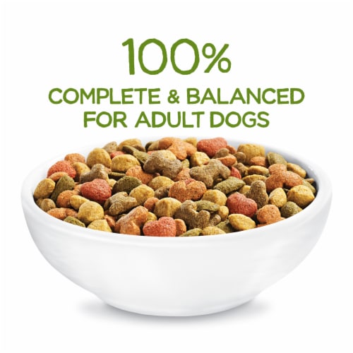 purina-beneful-healthy-weight-with-farm-raised-chicken-adult-dry-dog