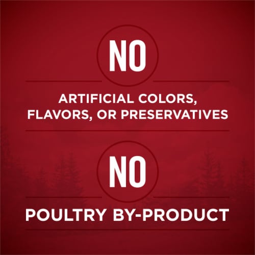 Purina ONE® SmartBlend® True Instinct Real Chicken & Duck in Gravy Adult Wet Dog Food Perspective: top