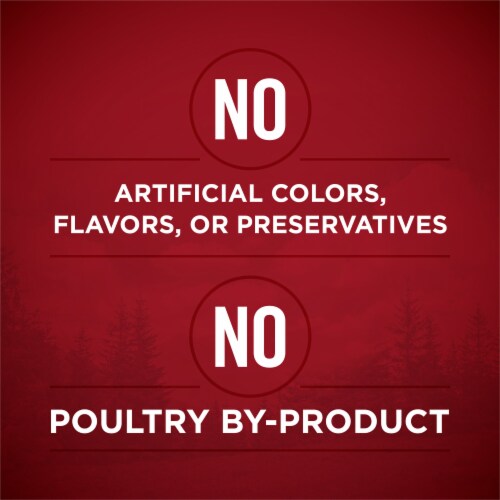 Purina ONE® SmartBlend® True Instinct Beef & Salmon Tender Cuts in Gravy Wet Dog Food Perspective: top