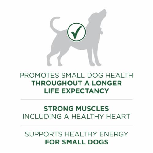 Purina ONE +Plus Small Breed Adult Dry Dog Food Lamb & Rice Perspective: top