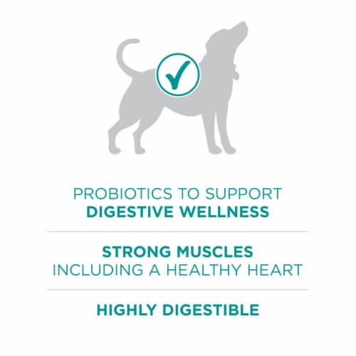 Purina ONE +Plus Digestive Health Adult Dry Dog Food Real Chicken Perspective: top